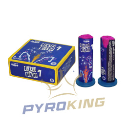 身体守りフラーレン　２個セット Rękawice bramkarskie Reusch Attrakt Freegel Silver Junior r